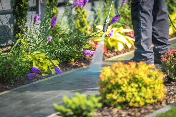 Best Winterizing Services  in Richwood, TX