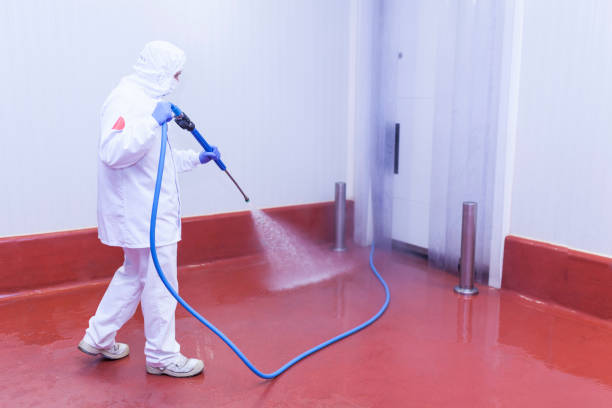 Trusted Richwood, TX Pressure Washing Services Experts